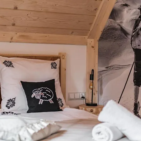 Zakopianska Przystan Dağ evi