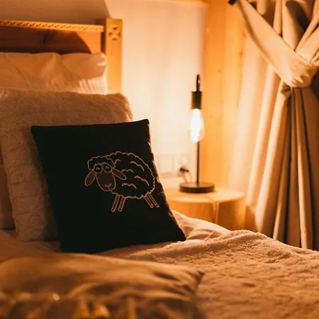 Zakopianska Przystan Dağ evi Zakopane