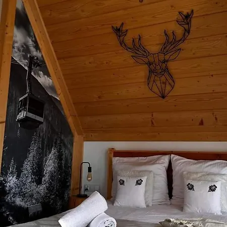 Zakopianska Przystan *