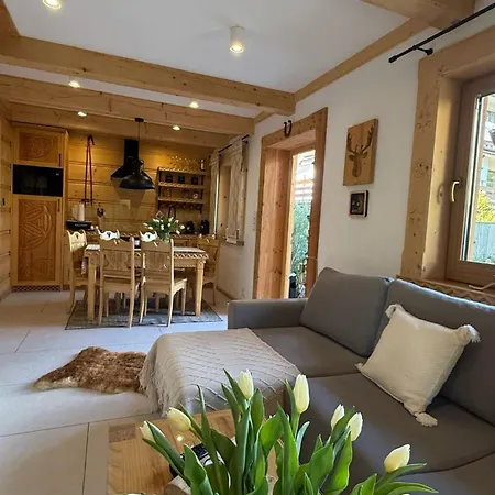 Zakopianska Przystan Chalet *